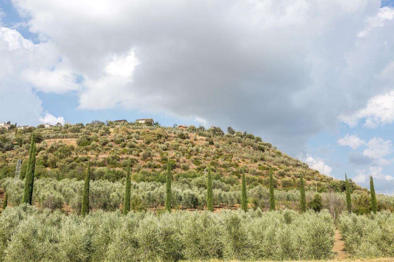 Little Val D'Orcia Apartment Montenero d'Orcia Bagian luar foto